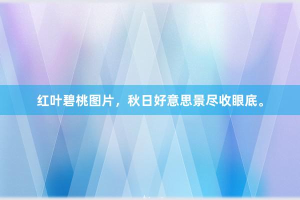 红叶碧桃图片,秋日好意思景尽收眼底。