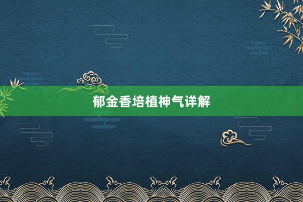 郁金香培植神气详解