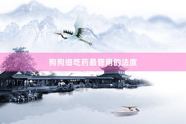 狗狗细吃药最管用的法度