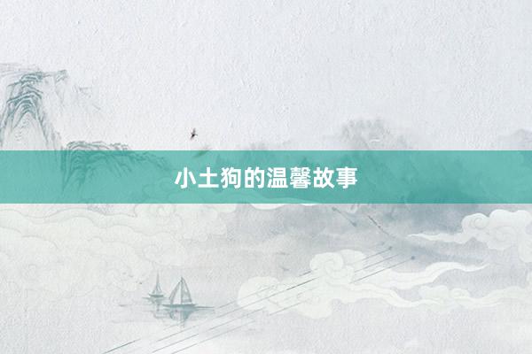 小土狗的温馨故事